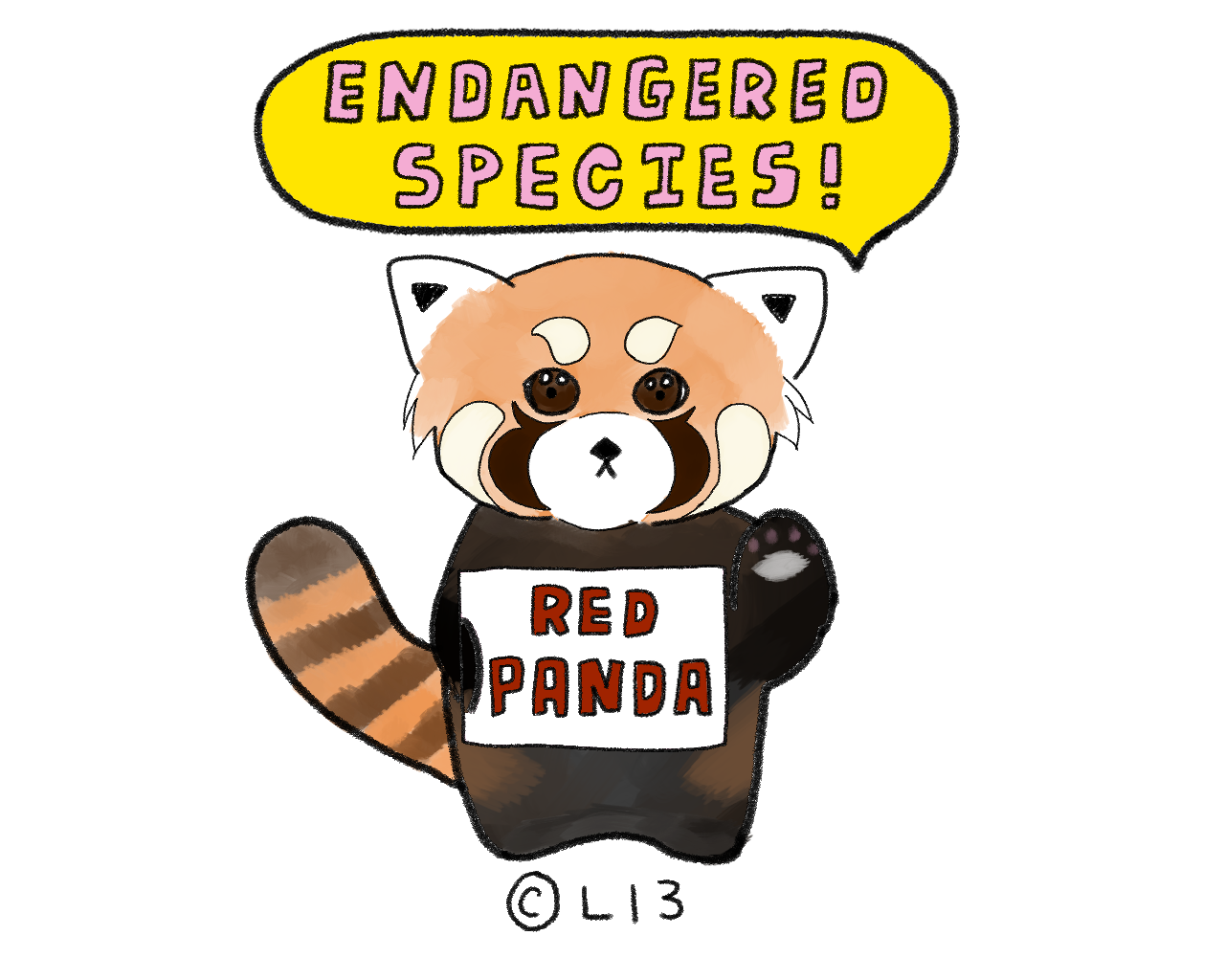 絶滅危惧の 赤いパンダ レッサーパンダ ライツフォーグリーン